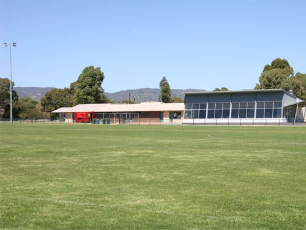 stadium photo
