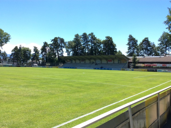 stadium photo
