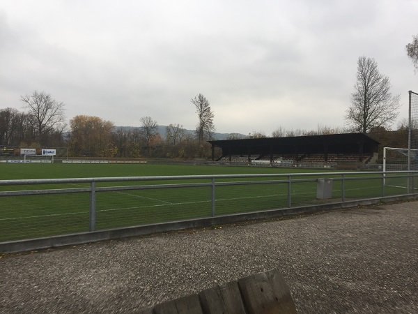stadium photo